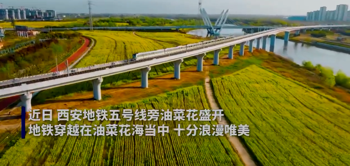 �������F��Խ�Ͳ˻��� �W(w��ng)�ѣ��@���F�ҿ�����һ��