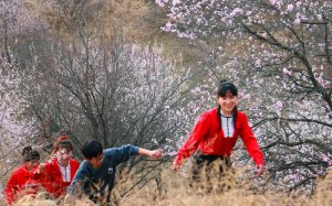 �������ɳԷ���^(q��)����������ɽ��