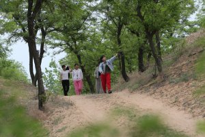 �������ɳԷ���������