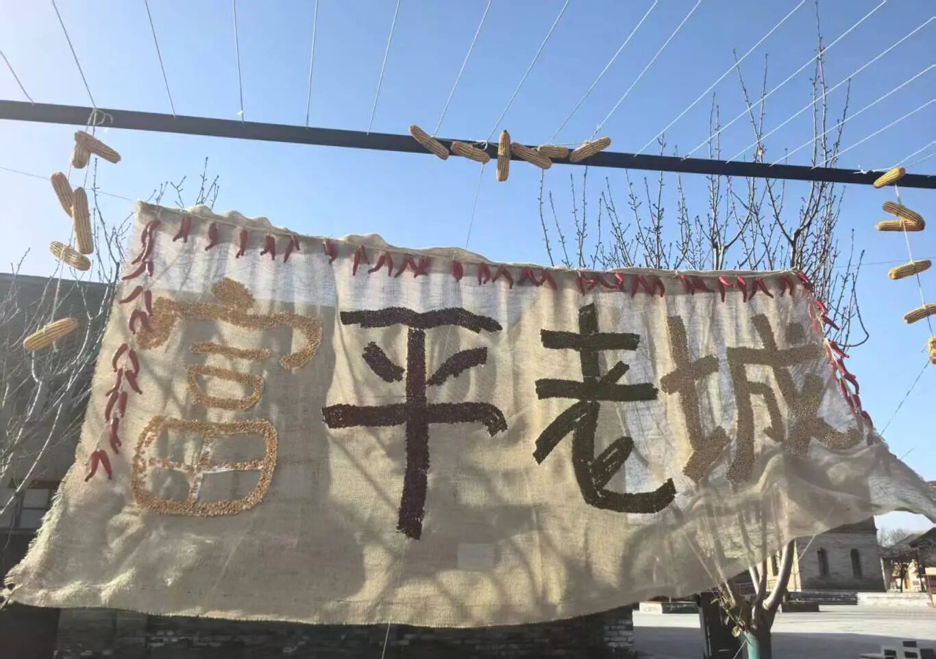 ��ƽ�ϳǕ����b��ˇ�g(sh��)��ِ�չ�