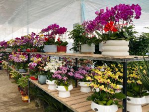 μ���а�ˮ�h�����P(gu��n)���� �������ɞ��Ј�(ch��ng)��