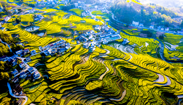 ΢�ňDƬ_2026-03-31_105626_366.png